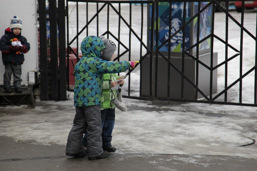 photo