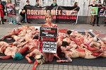 В Санкт-Петербурге прошел "кровавый" перфоманс, демонстрирующий обратную сторону меховой индустрии