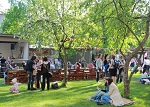 >«Зелёная Ярмарка» - благотворительный фестиваль экологии и веганской культуры 2 июля в More Place в Петербурге