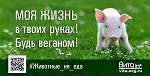 Веганская соцреклама «Животные – не еда!» ко Дню Вегана в России