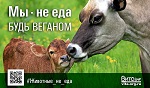 ВПЕРВЫЕ <br>Веганская соцреклама<br> «Животные – не еда!»<br> ко Дню Вегана