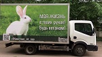 >8 месяцев спустя: веганская соцреклама на грузовиках продолжает колесить по всей России!