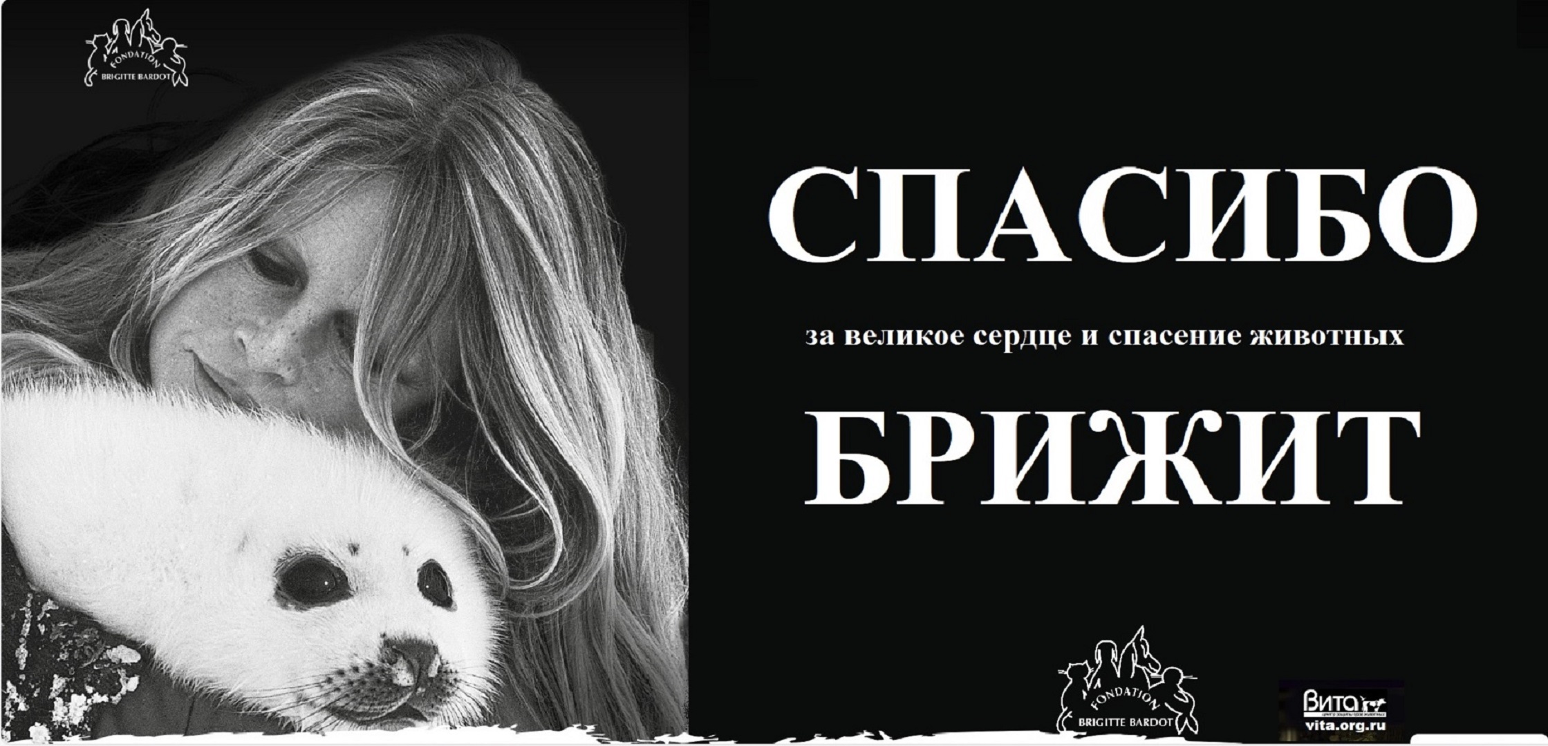 �������, ������� ������, �� ��� ������������ ����! ��� ������������ ����� ��������� - ������...