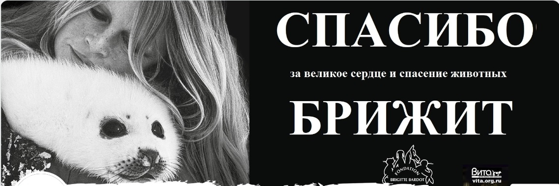 
�������, ������� ������, �� ��� ������������ ����! ��� ������������ ����� ��������� - ������...