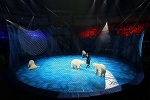 ВИТА направляет в Гепрокуратуру РФ обращение по ситуации с белыми медведями в России