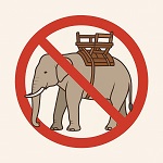 ������! ��������� ��������� ������� �� ������!