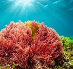 
�������? ���� ��������� ������������ - �� ����������!