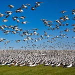 �������� ��� ����� � �����! ���-���� �������� ���-���