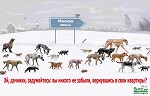 Назад в палеолит: Госдума легализует охоту на животных с луком