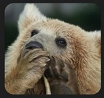 
� ����� ����������� �������� ���������� ����������� ����� �� ����������� ����������� ���������� ������� ��� ����