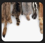 
� ����� ����������� �������� ���������� ����������� ����� �� ����������� ����������� ���������� ������� ��� ����