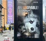 
��� ��������� ��������������� ������ � ��������� ��������� ��������� ������� ������������ � ������� ����