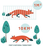 
� �������� �������� ������ � ��������� ��������� ����������