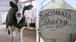 >Старейшая молочная ферма Калифорнии завершила свою деятельность после 125 лет бизнеса 