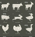 
����������� ����� ��������, ��� ����� � ��� �����������: ������ 4 ���������� (������ 4N)