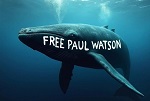   ! #FreePaulWatson