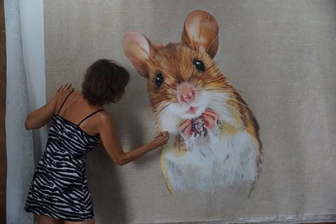photo