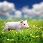 ������ ����� �����-���!�: �� ����� ������� ���������� ������� ����� ����