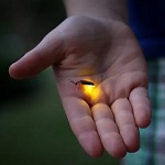 ��� �� ��������� ���� � ���� ��������������� �����!