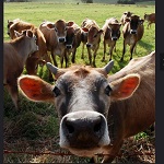 
�������, 20 ������, � ���� ���������� ���� ������ ������ �����