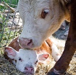 
�������, 20 ������, � ���� ���������� ���� ������ ������ �����