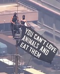
������ ����� ������ �������