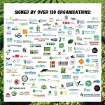 
Vegan-������� � ������� �����������: � ���� ��������� ������ �������� ��� ��������� ���������� ����������