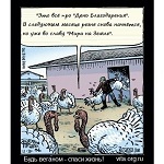 День Благодарения без убийств: вега́н Хоакин Феникс призывает людей проявить сострадание и отказаться от мяса 