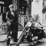 
������� ��������: ���������� 