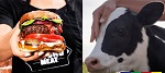 Вега́нские бренды растительного мяса спасли жизнь почти миллион животных только в
США в прошлом году