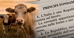 Права животных признаны Конституцией Италии