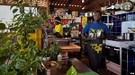 «Неделя веганских ресторанов Африки»: впервые на континенте!