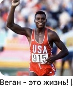 
���������� ������ �������� ����� �������������� ��������������� �������