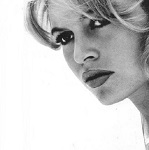 
15 ������-�������� ���� ��������, ���������� ���