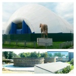 ���� � ��������� - ������ 10 ������� ������� ���������� ������� �� ����